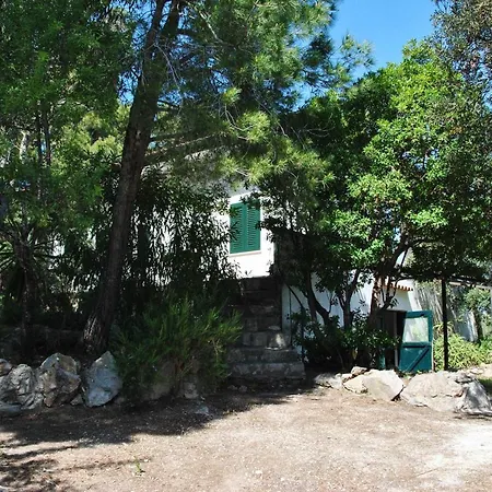 Corbezzolo Tra Natura E Mare *