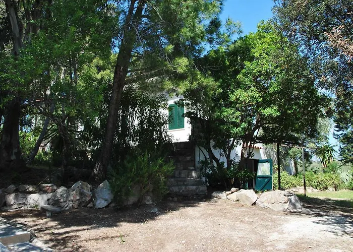 Corbezzolo Tra Natura E Mare *