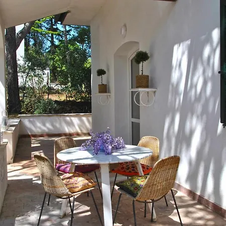 Corbezzolo Tra Natura E Mare